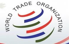 سازمان توسعه تجارت ؛ متولی الحاق ایران به سازمان تجارت جهانی شد