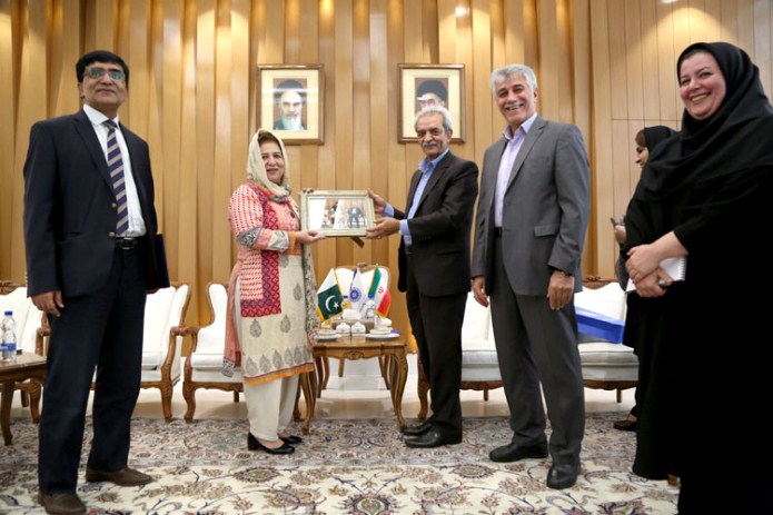 پاکستان نظام تعرفه کالاهای وارداتی از ایران را اصلاح کند پاکستان نظام تعرفه کالاهای وارداتی از ایران را اصلاح کند