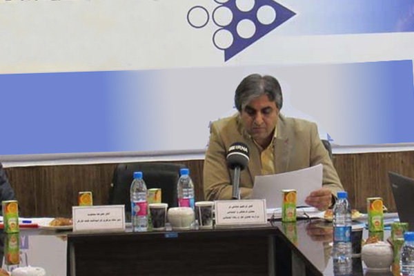 مجلس و دولت مشوقهای حمایتی از کالای ایرانی داشته باشند مجلس و دولت مشوقهای حمایتی از کالای ایرانی داشته باشند