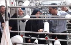 جلوگیری از خروج ارز با تولید برخی نخهای فانتزی در کشور جلوگیری از خروج ارز با تولید برخی نخهای فانتزی در کشور