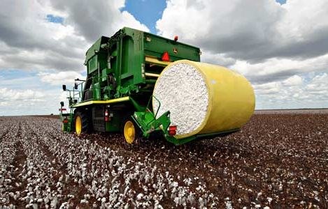 قاچاق پوشاک مانع توسعه کشتپنبه شد قاچاق پوشاک مانع توسعه کشتپنبه شد